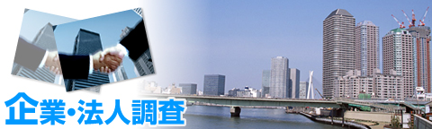 企業・法人調査