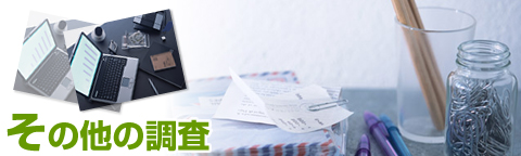 その他の調査